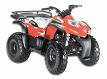 Cobra 125-180 RS