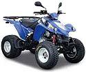 KXR 250 Sport