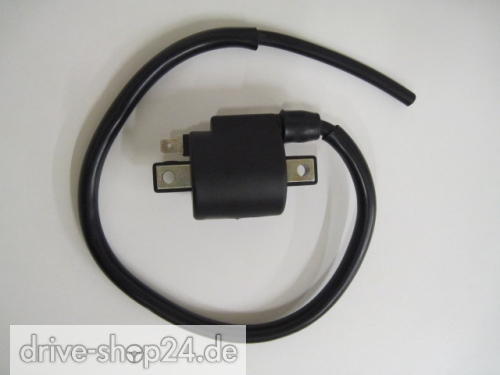 CPI GTR 50 FL + Race Z�NDSPULE